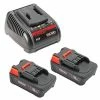 RIDGID Tools RIDGID 18V 2.5 Ah LI-Ion Batteries (X2) & Charger Set 66013 -Current Tools Sales rd66013 grax8qenfbauhfyk